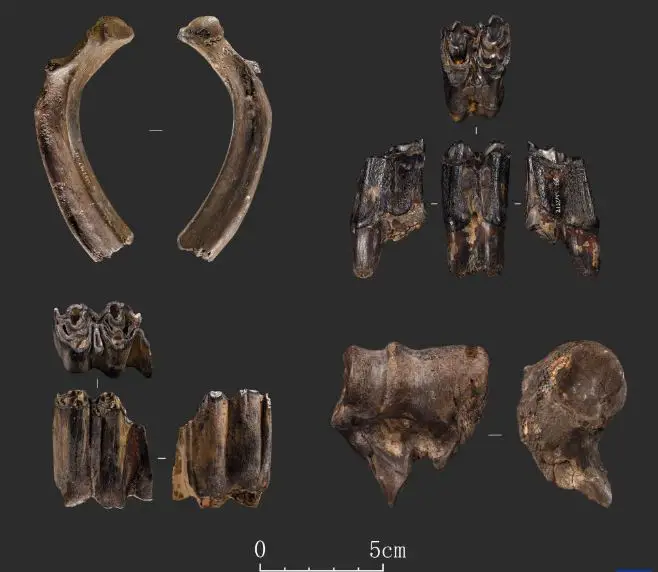 Evidence Of Prehistoric Human Activity Found in Southwest China ...