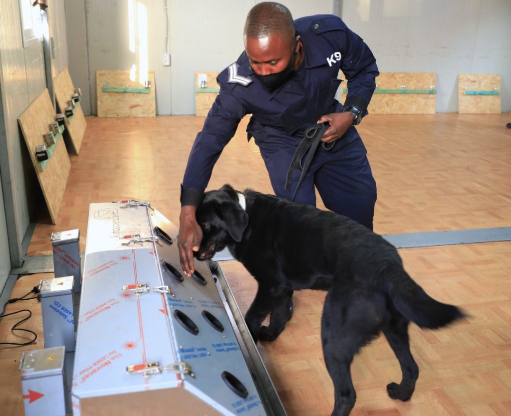 Understanding K-9: Operations and lifestyle of Police service dogs