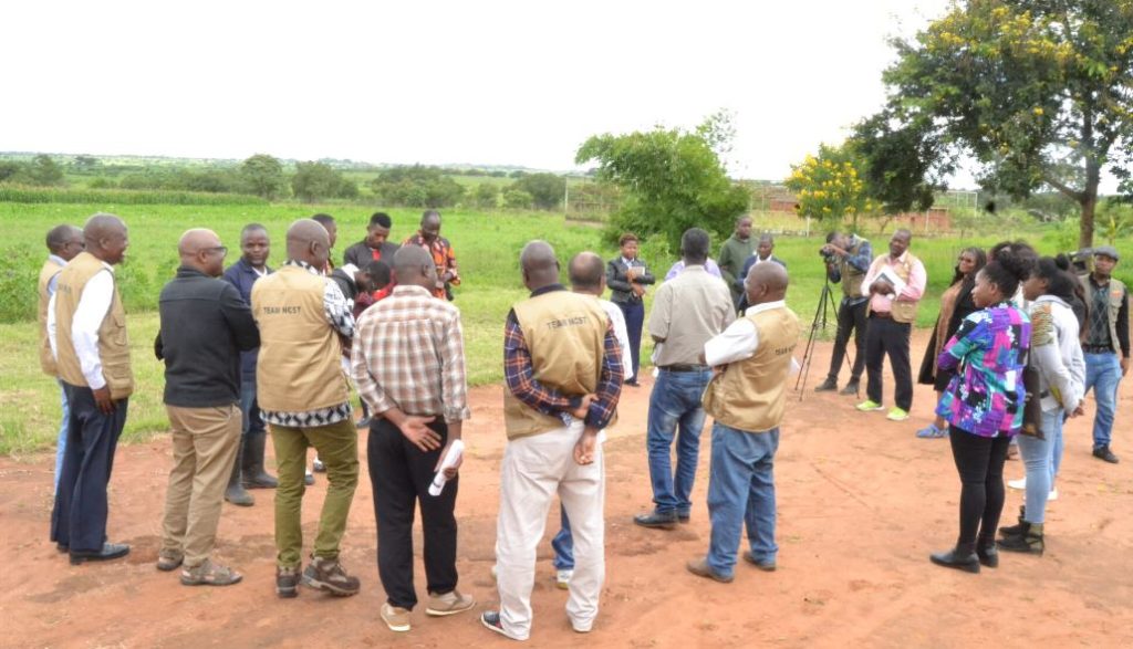 Can GMO Maize Be Solution to Malawi’s Food Insecurity
