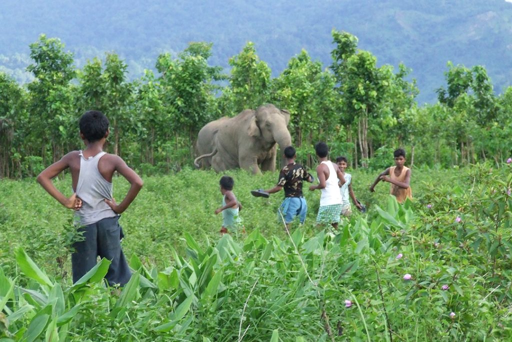 New Research Network Launched to Tackle Human-Wildlife Conflicts in Eastern Africa