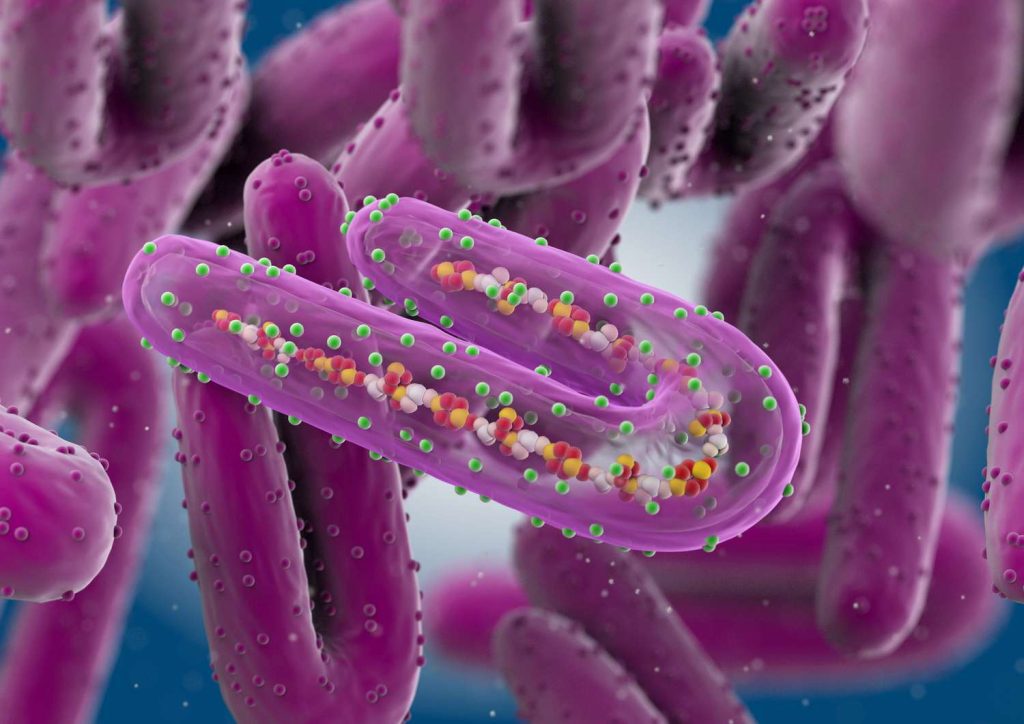 10 Things to Know About Marburg Virus