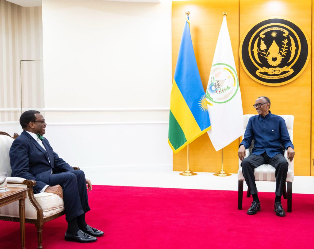 Kagame Meets with Outgoing AfDB Chief